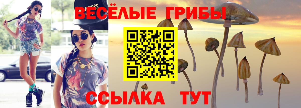 Псилоцибиновые грибы прущие грибы  Вход с VPN  Железноводск  Псилоцибиновые грибы мухоморы 