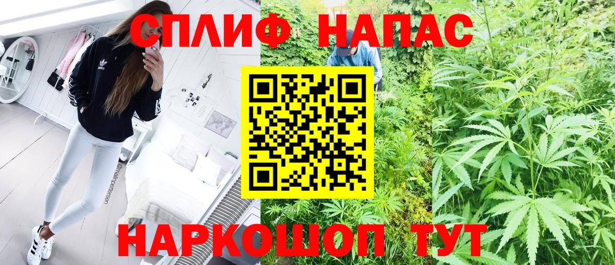 Бошки марихуана планчик Железноводск